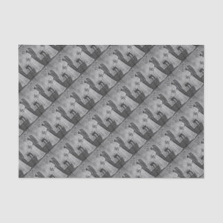 Papier Mousseline Mariage de chat