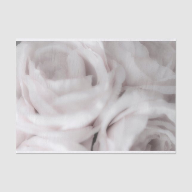 Papier Mousseline Mariage minimal Élégant Roses blancs (Recto)