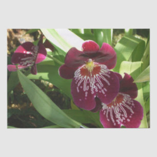 Papier Mousseline Maroon Orchids II