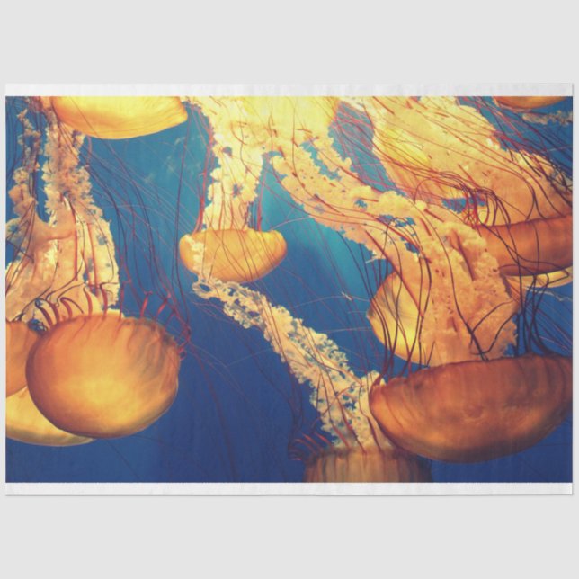 Papier Mousseline Méduse Océan 20x30 Découpage (Recto)