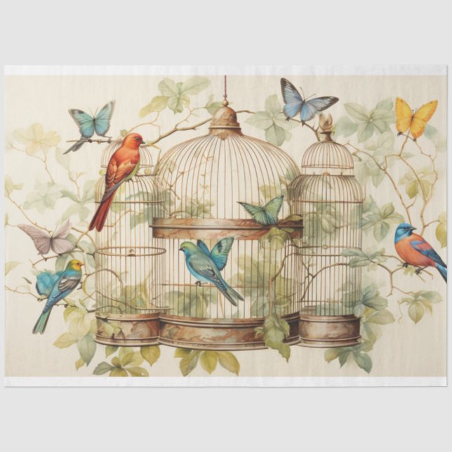 Papier Mousseline Melodies sereines : Découpage de cage d'oiseaux (Recto)