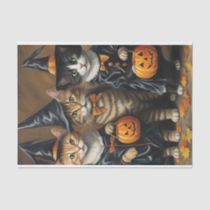 Papier Mousseline Meow-loween : Trick-or-Trakers Chats Découpage