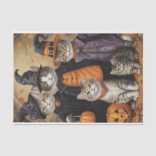 Papier Mousseline Meow-loween : Trick-or-Trakers Chats Découpage
