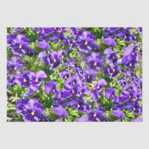Papier Mousseline Mer de sérénité : Le beau terrain de purple violet