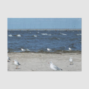 Papier Mousseline mer, eau, mouette, oiseau, voyage, bleu, ciel,