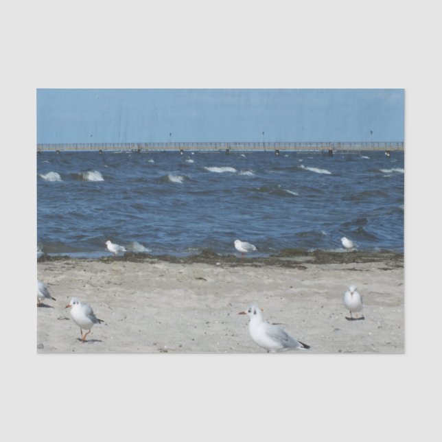 Papier Mousseline mer, eau, mouette, oiseau, voyage, bleu, ciel, (Recto)