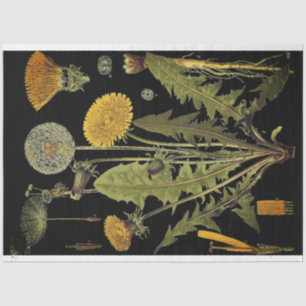 Papier Mousseline Mobilier Dandilion foncé Découpage Papier