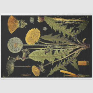 Papier Mousseline Mobilier Dandilion foncé Découpage Papier