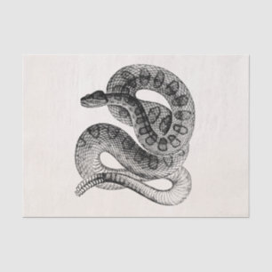 Papier Mousseline Modèle vintage de serpent de reptile de serpent à