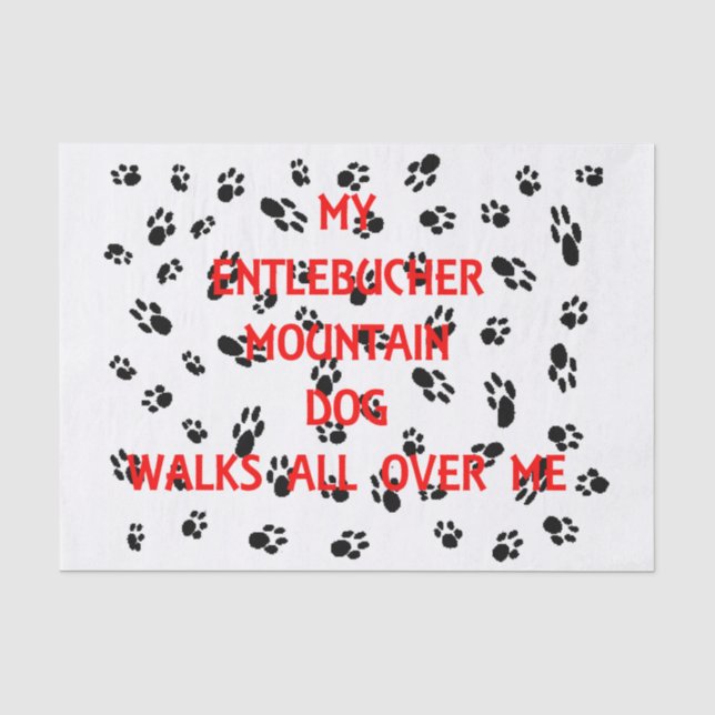 Papier Mousseline mon entlebucher marche sur moi (Recto)