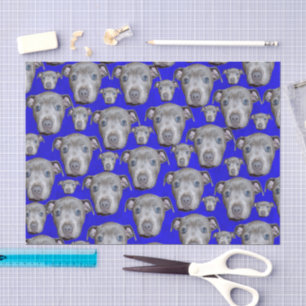 Papier Mousseline Motif de chiot Staffordshire Bull Terrier,