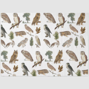 Papier Mousseline Motif de forêt de l'aquarelle de la Chouette vinta