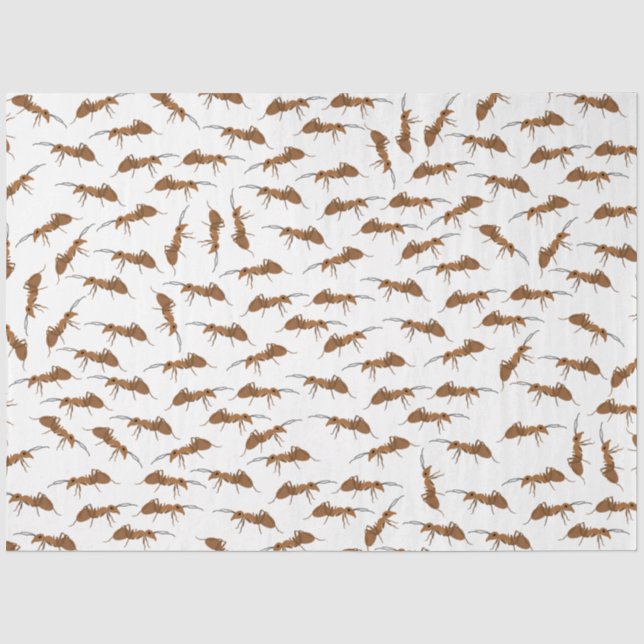Papier Mousseline Motif de jolies fourmis (Recto)