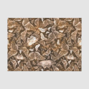 Papier Mousseline Motif de papillons Brown et beige