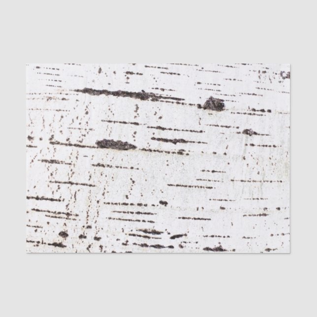 Papier Mousseline Motif d'écorce de bouleau (Recto)