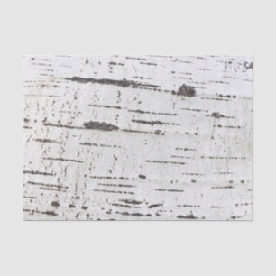 Papier Mousseline Motif d'écorce de bouleau
