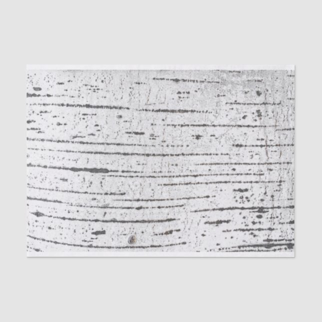 Papier Mousseline Motif d'écorce de bouleau (Recto)