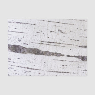 Papier Mousseline Motif d'écorce de bouleau