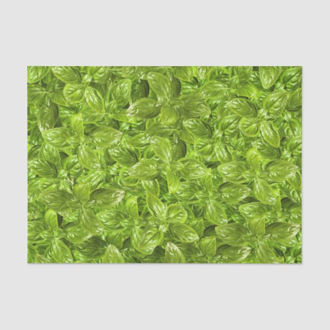 Papier Mousseline Motif Feuille Basil (Recto)