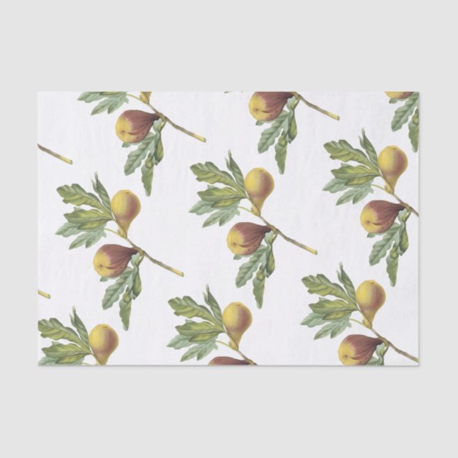 Papier Mousseline Motif Fig (Recto)