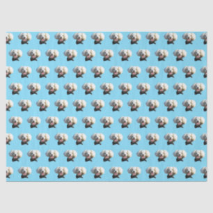 Papier Mousseline Motif photo personnalisé Chien Chien Chien Chien C