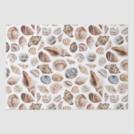 Papier Mousseline Motif Seashell