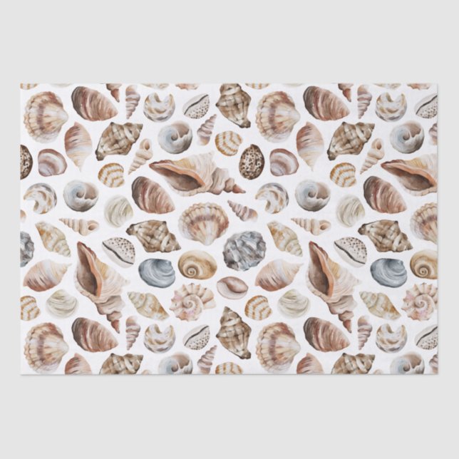 Papier Mousseline Motif Seashell (Recto)