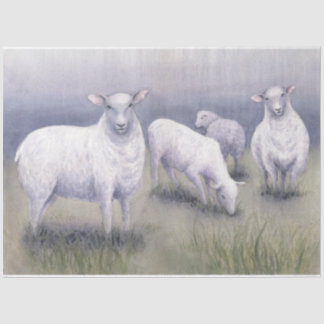 Papier Mousseline Mouton en champ
