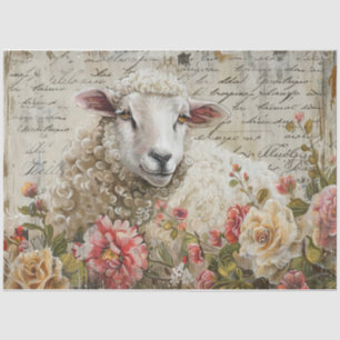 Papier Mousseline Mouton laineux