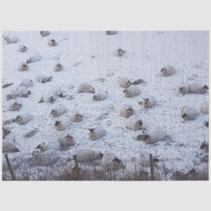 Papier Mousseline Moutons dans la neige