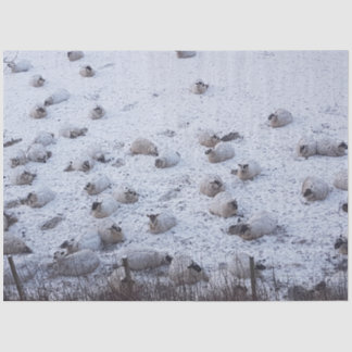 Papier Mousseline Moutons dans la neige
