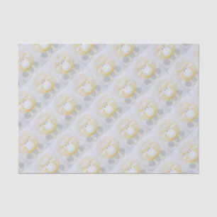 Papier Mousseline Moutons laineux blancs pour la brebis