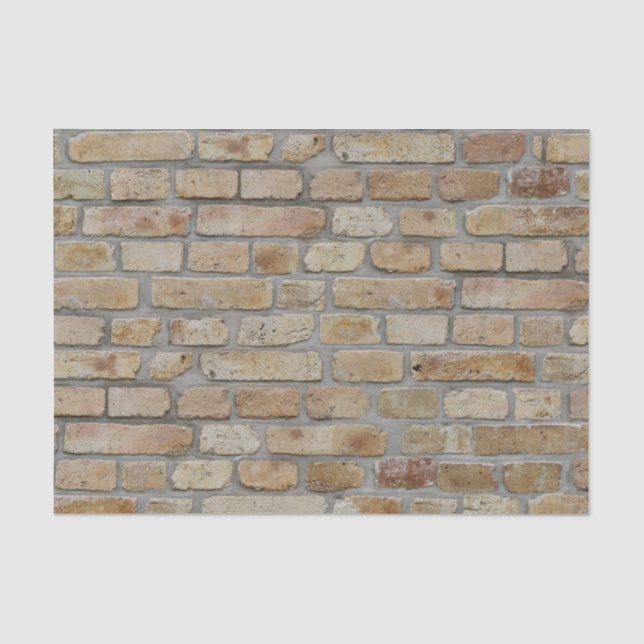 Papier Mousseline Mur Brown en briques Un design novateur (Recto)