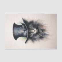 Mystérieux chat en casquette noir "Hello Darlin"