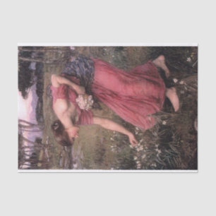 Papier Mousseline Narcisse par John William Waterhouse - 1912