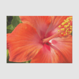 Papier Mousseline nature, hibiscus, fleur, été, floral, tropical
