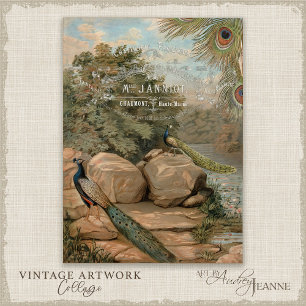 Papier Mousseline Nénuphar Paon Flore Éphémère Découpage Français