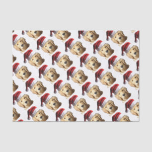 PAPIER MOUSSELINE NICKEL-WITH-A-HAT-3