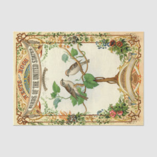 Papier Mousseline Nids et œufs oiseaux des États-Unis