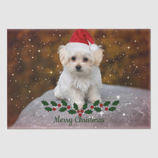 Papier Mousseline Noël des chiots maltais (Recto)