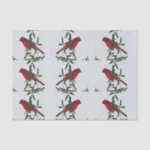 Noël du cardinal rouge