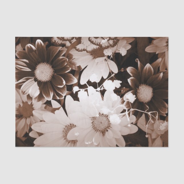 Papier Mousseline nostalgie pays de l'ouest fleur sauvage marguerite (Recto)