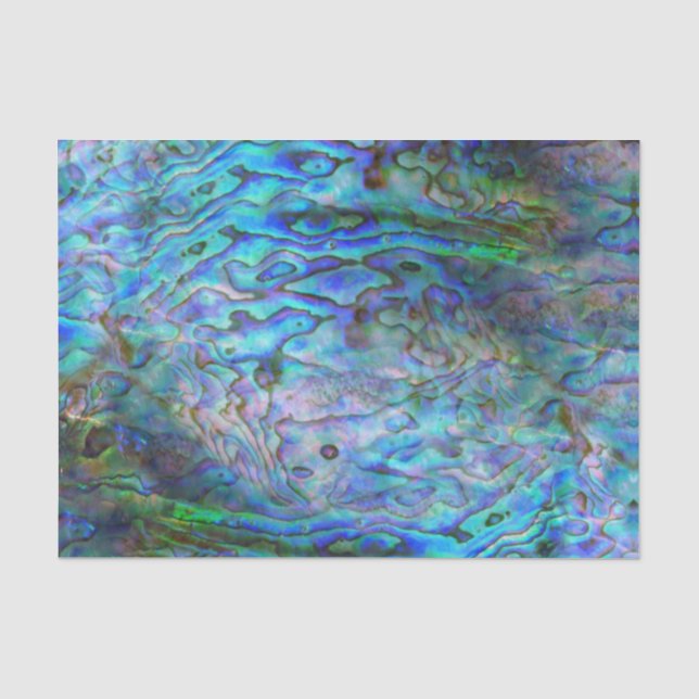 PAPIER MOUSSELINE NOUVELLE-ZÉLANDE KIWI PAUA (Recto)