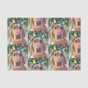 Papier Mousseline Nova the Golden Retriever Christmas Tissue Paper