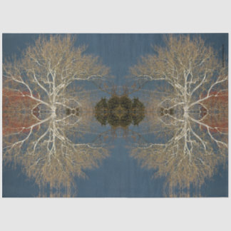 Papier Mousseline nuages d'arbre noir ciel photo originale