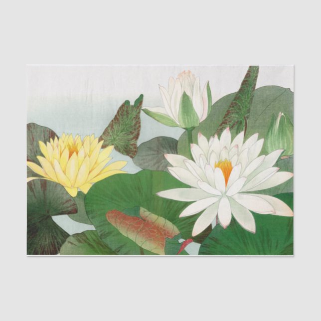 Papier Mousseline Nymphaea lotus, Découpage (Recto)
