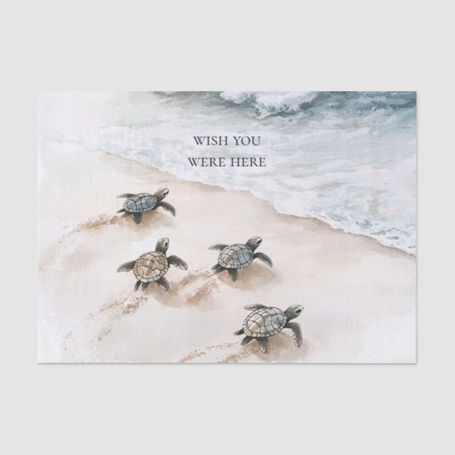 Papier Mousseline Ocean Beach Coast Sea Turtles (Recto)