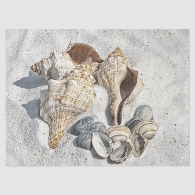Papier Mousseline Ocean Seashel Beach Sand Decoupage papier de papie (Recto)