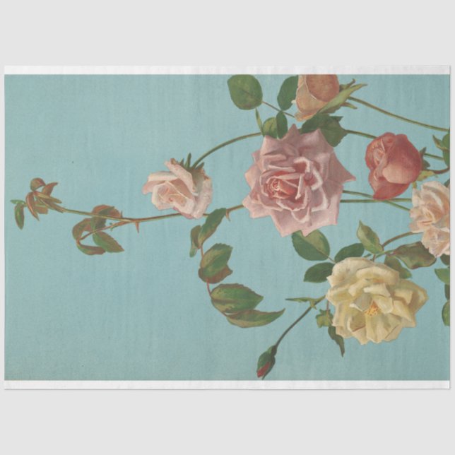 Papier Mousseline Oeuvre d'époque Rose Turquoise Rose Retro (Recto)