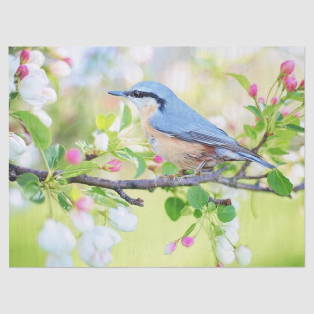 Papier Mousseline oiseau dans le papier de mouchoir de printemps (Recto)